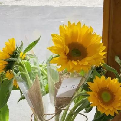 金年会app下载官网官方入口