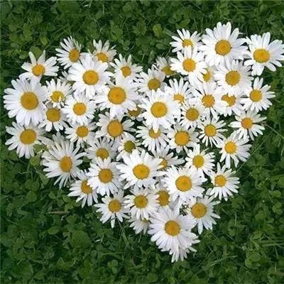 ku娱乐官网登录下载手机版